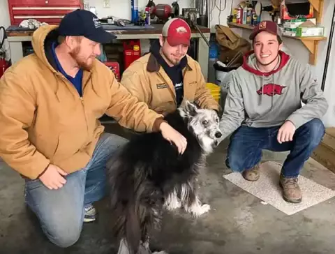 Crew And Shop Dog
